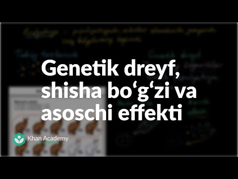 Video: Shisha Daraxt