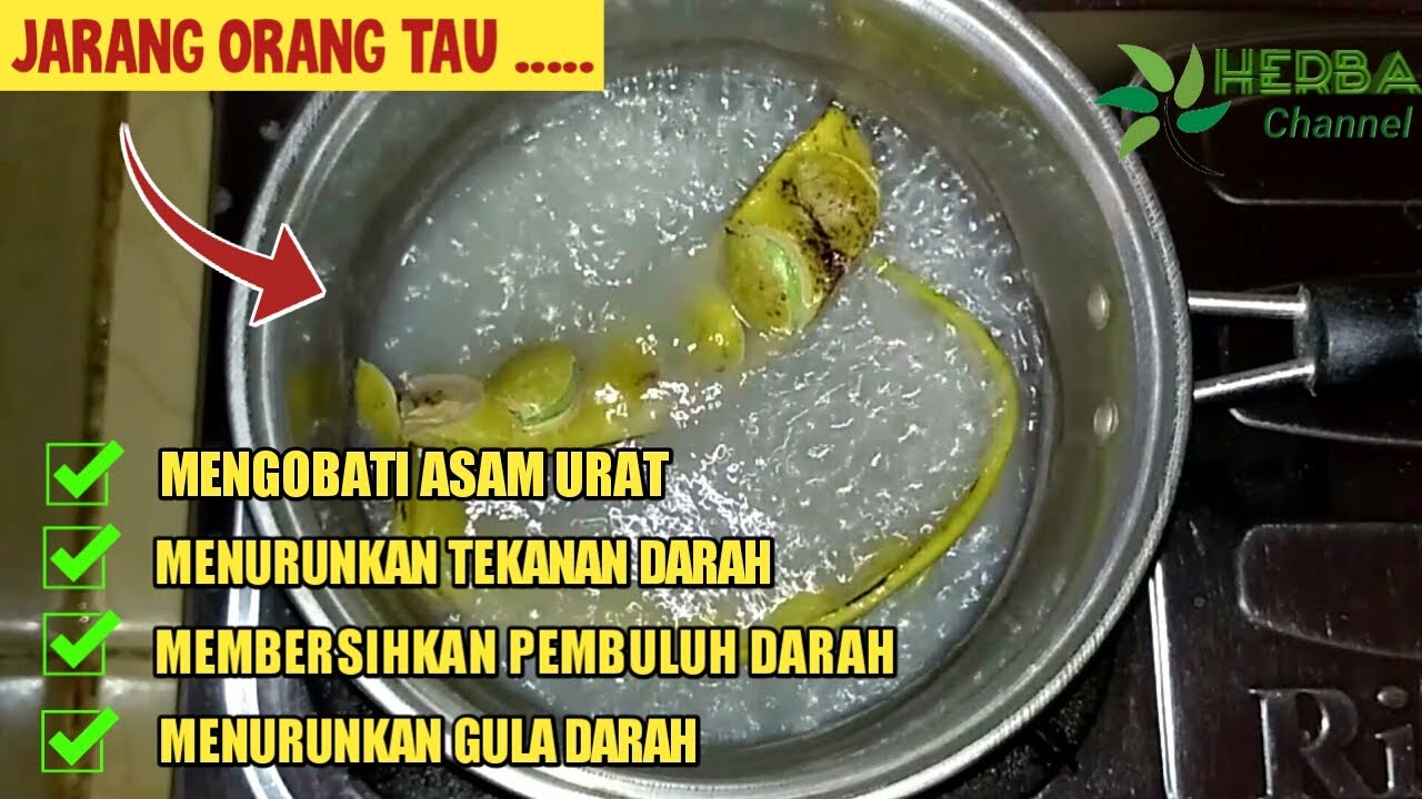 7 Manfaat Air Rebusan Kulit Petai/Pete Untuk Kesehatan 