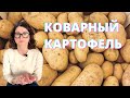 Почему на правильном питании запрещают картошку?