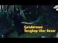 Genderuwo boy tangkap ular besar yang akan masuk rumah