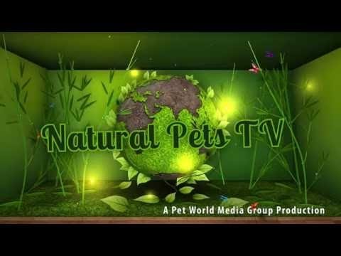 natural-pets-tv---episode-6---herb-safety-+-pet-toxicology-+-pets-under-care-+-more
