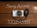 SONY A6000 HOW TO USE FOCUS ASSIST