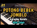 POTONG BEBEK JOMBLO KARAOKE REMIX - AZURA MUSIK BY CITA CITATA