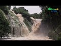LE PARC NATIONAL DE L'IVINDO, UN JOYAU DIFFICILE D'ACCES… MAIS INOUBLIABLE