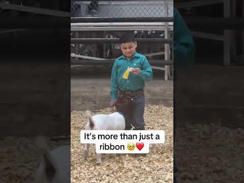This Little Boy Was Overwhelmed With Happiness Via Laechelinfarms IG