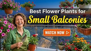 Best Flower Plants for Small Balconies