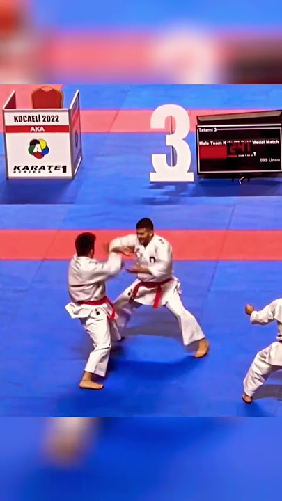 Bunkai#karatecombat #karatedo #kata#bunkai #wk_videos