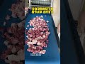 Bone chopper" "Bone cutter" "Fully automatic bone chopper"