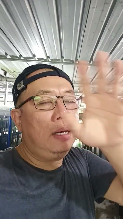 cara buat ekor cupang lebar dan over, khususnya di cupang plakat, ala jokiweda pastinya..