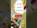 سبحان الله والحمد لله لا اله الا الله والله اكبر Shortvideo Youtubeshorts انشودة Funny 