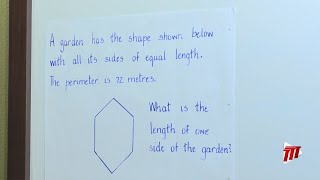 S.E.A. Time - Mathematics (Perimeter and Area Problem Solving Strategies)