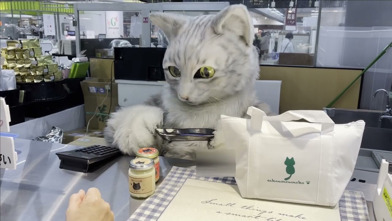 猫の店員さん ミクちゃんに会ってきた Cat Selling Pudding Youtube