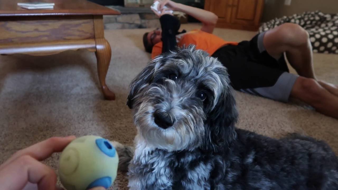 Artic Zero Vs Wink Vs Halo Top YouTube