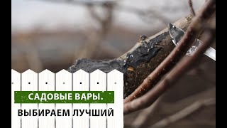 видео: Выбираем ЛУЧШИЙ садовый вар из представленных в магазинах. ПОДРОБНЫЙ гайд, ЧАСТЬ ПЕРВАЯ картинка: Выбираем ЛУЧШИЙ садовый вар из представленных в магазинах. ПОДРОБНЫЙ гайд, ЧАСТЬ ПЕРВАЯ