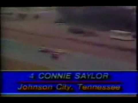 Connie Saylor Flies