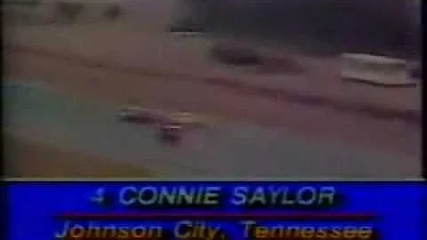 Connie Saylor Flies