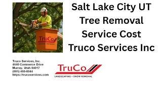 Salt Lake City UT Tree Removal Service Cost Truco Services Inc
