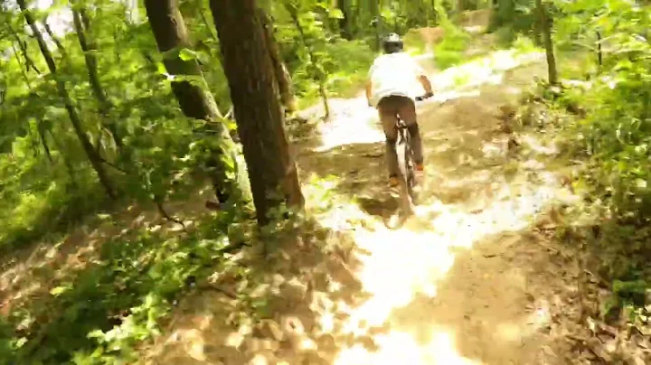 The ish at Landahl. Following Ashton- Shreddykrueger