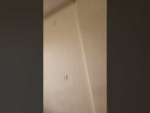 شقه للايجار زيونة شارع الربيعي تجاري فقط 07710052005