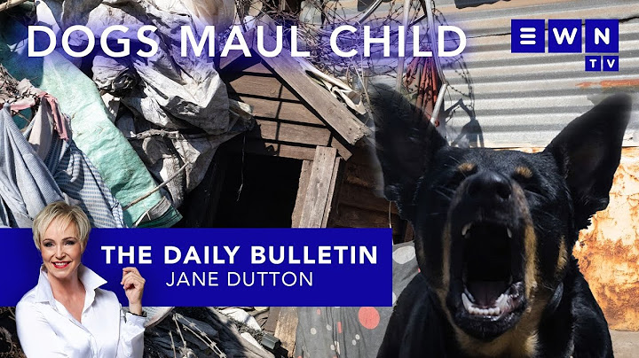 The day that was: MK Mp’s Transnet fraud case, dogs fatally maul 3-yr-old, DA’s Presidential spat