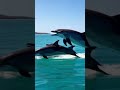 #travelvlog #travel #news