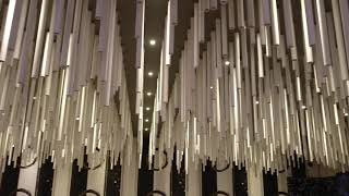 Creative Ceiling Design For Restaurant I Ceiling Made With Waste Pipes I Creative Interiors