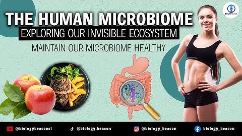 The Human Microbiome: Exploring Our Invisible Ecosystem | Unveiling Hidden World | Towards Healthy