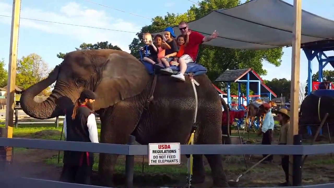 Elephant Rides Renaissance Fair Elephant at the Renaissance Festival Video Haha - YouTube