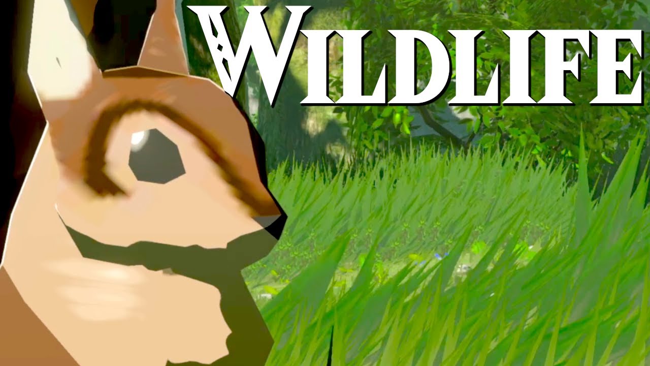 Wildlife on The Great Plateau | A Zelda Nature Documentary