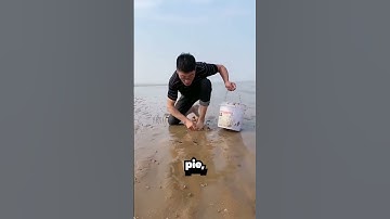 Thumbnail of This Is Why You Shouldn't Walk Barefoot In The Sand