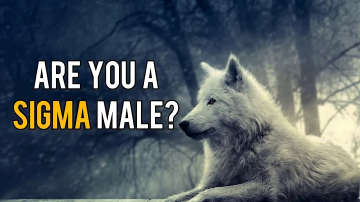 6 Signs That You Are a Sigma Male - The Rarest Amongst Men