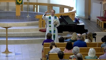 Plotinus (Tiny) the Pig - Third Sunday After Pentecost 2025