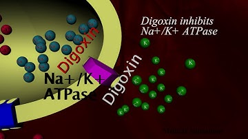 Digoxin Mechanism of action - animation
