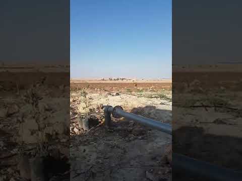 انا وعشيري فالسيكتور