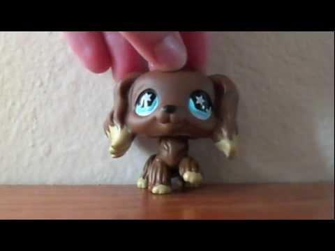 LPS || Party