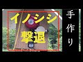 【イノシシ撃退装置】害獣被害を防ぐため、赤外センサー付きの警報機を作りました。動作実験です。