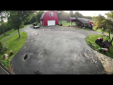 Old Farm Cat Fights Off Fox Trying to Grab Chicken