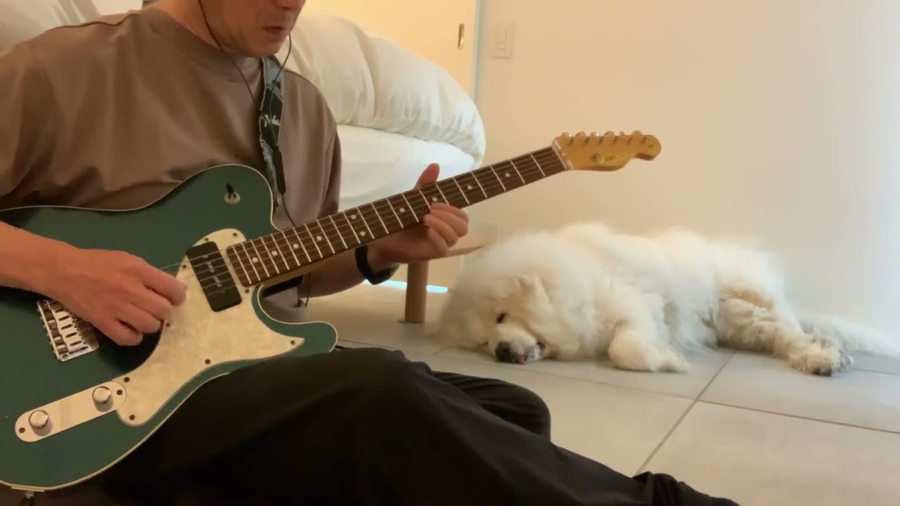 Moon Guitar Reggae Master / LET IT BE - YouTube