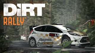 WET N WINDY WALES | Dirt Rally