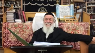 ש"י ✔ בחור ישיבה אשכנזי שיכור חזק בפורים | הרב יצחק זילברשטיין
