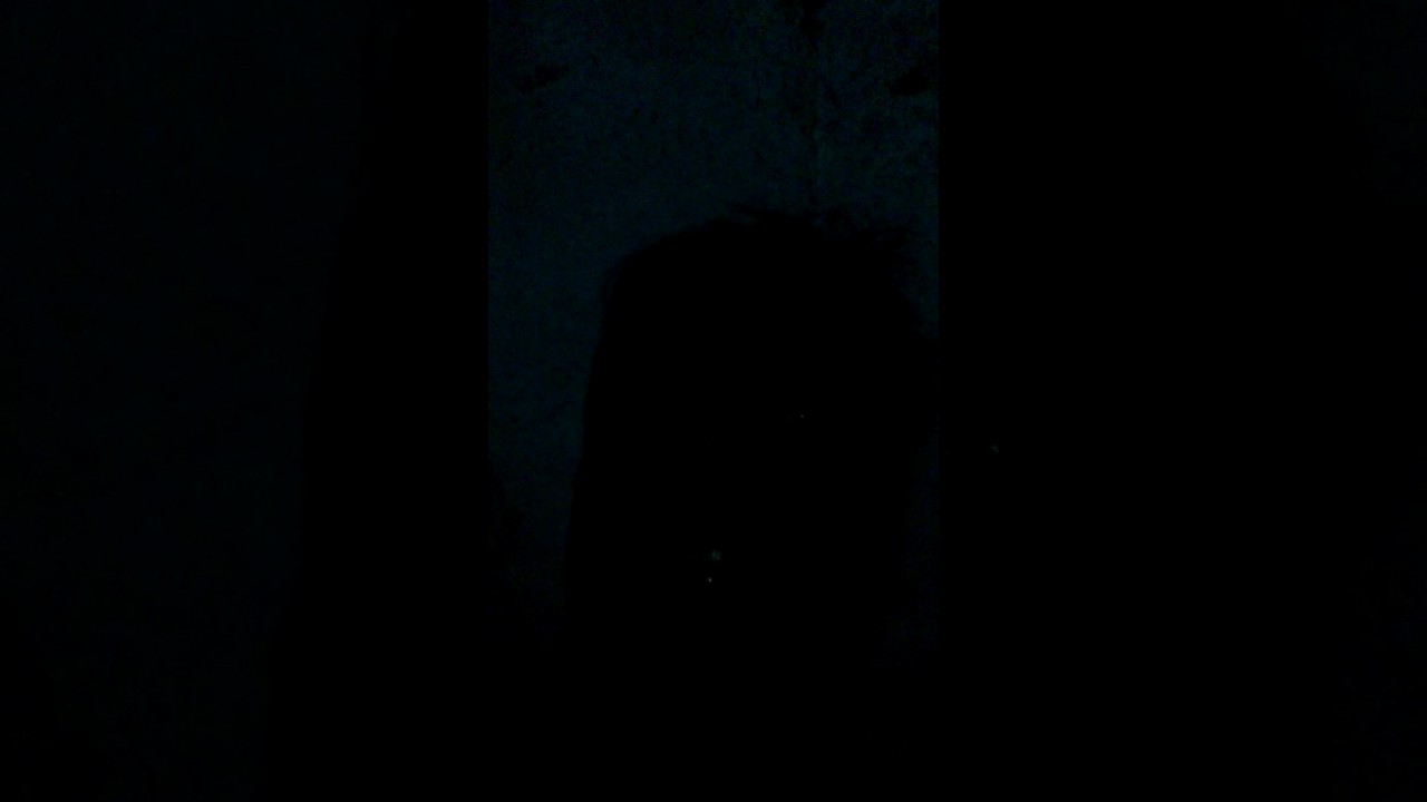 Young thinking of Bihar against corrupt political party and leader