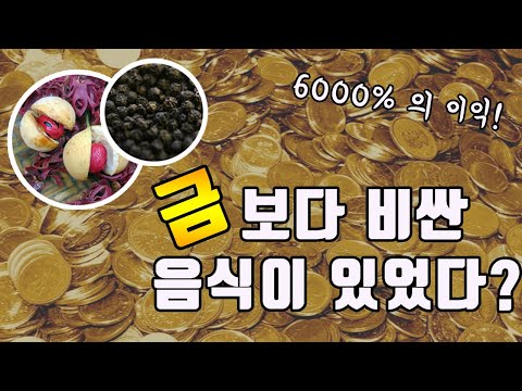 금보다도 비싼 음식이 있다?  향신료 이야기