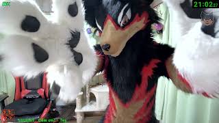 【Fursuit/獣化#159】水曜のもふもふタイム🐶🐾【ジュージュー/JuuJuu】#fursuit #獣化 #FurryVtuber #ケモV #furry
