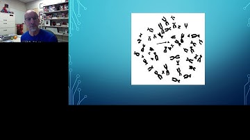 Keynote Presentation: The Massively Parallel Sequencing (MPS) Revolution