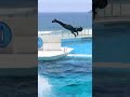 「以心伝心」]キレッキレ「スカイロケット」が美しすぎる!! #Shorts #鴨川シーワールド #シャチ #kamogawaseaworld #orca #killerwhale