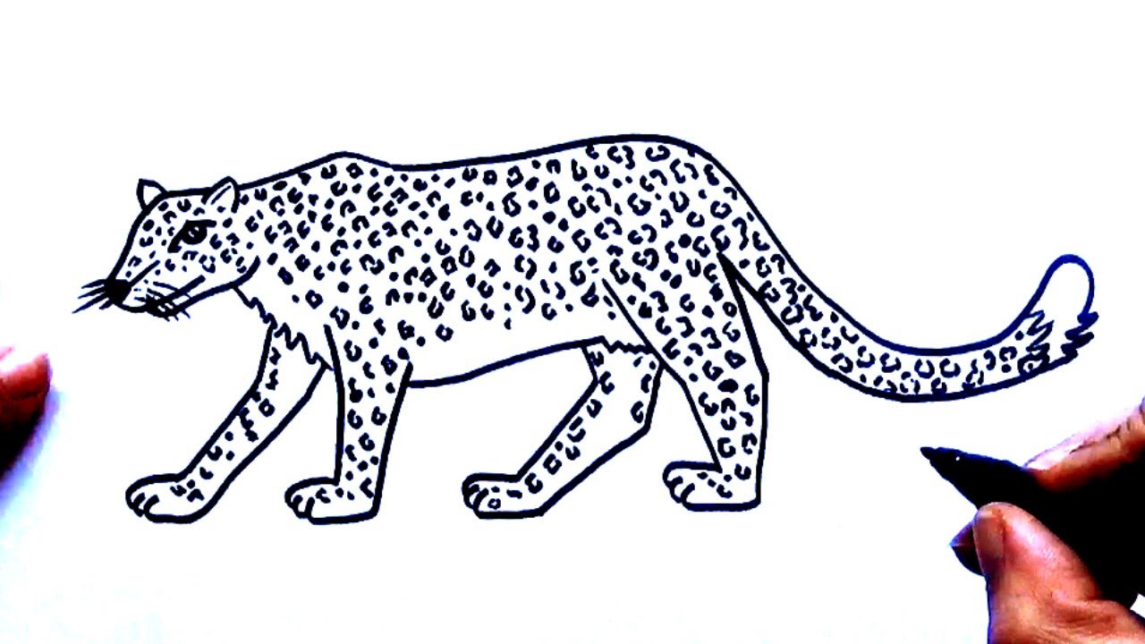 Cómo dibujar un Leopardo paso a paso fácil - YouTube