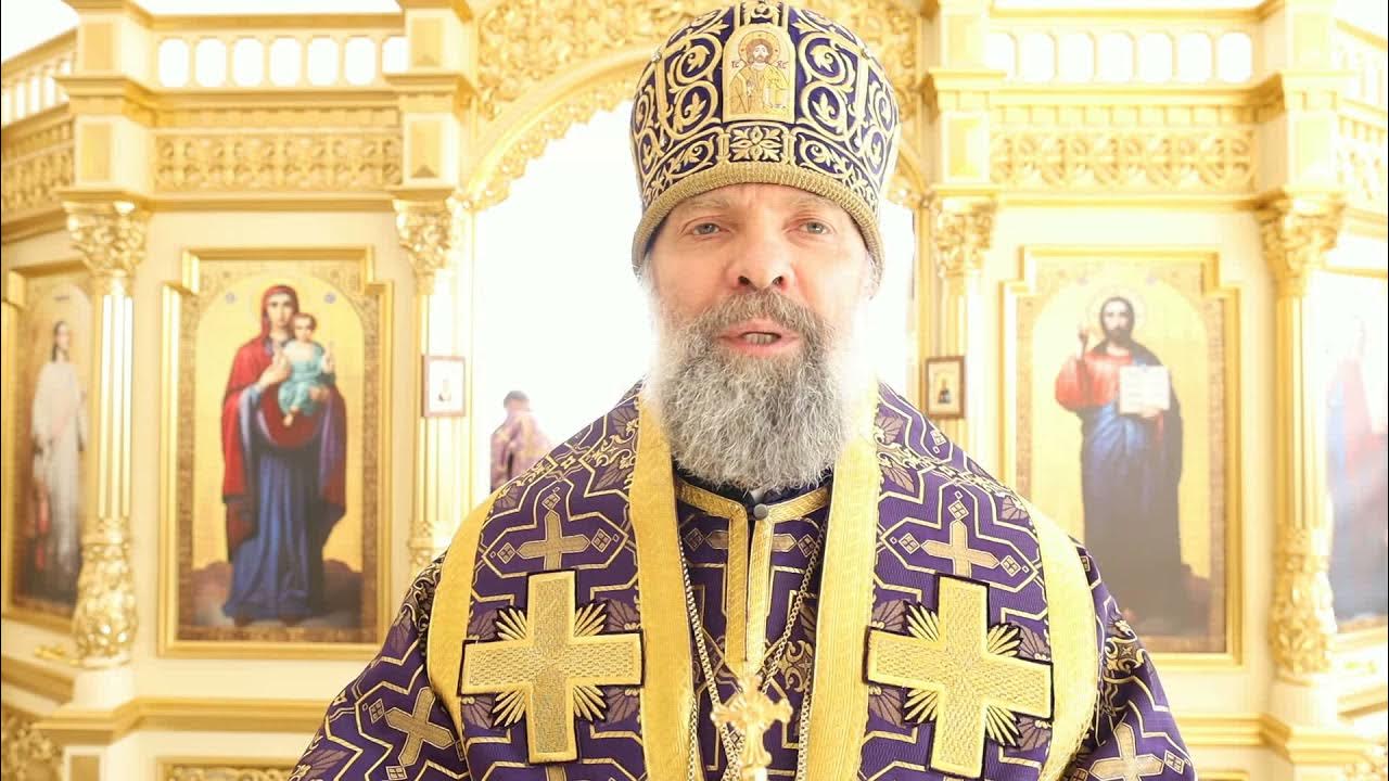 Епископ алексий бузулукский. Епископ алексий бузулукский. Проповедь епископа. Проповедь на ксению петербургскую. Проповеди епископа.