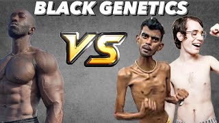 Why Black Genetics are the best!