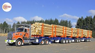 500 Powerful Wood Forestry Machines Heavy Equipment That Are on Another Level