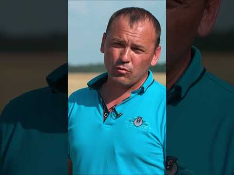 Уборка ячменя в